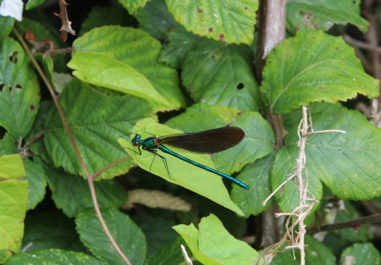 6481207545341473098_img_1969